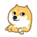 表情汪