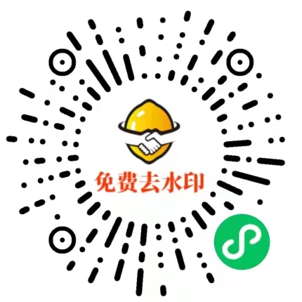 视频去水印app